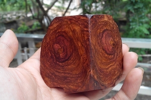 Gỗ sưa 015